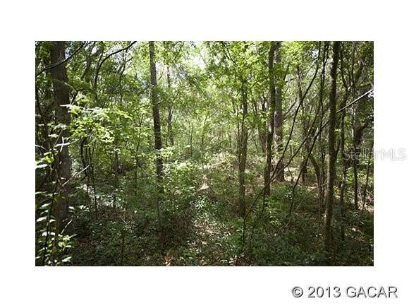 22214 SW 15th Ave., Newberry, FL 32669