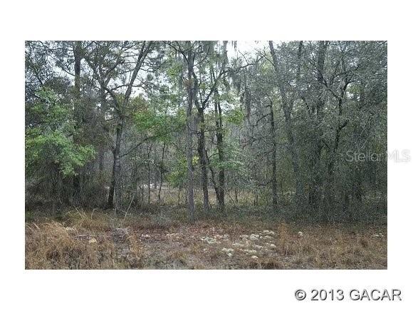 O NE 155th Ct., Williston, FL 32696