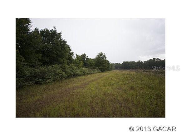 17303 NE 21st St., Gainesville, FL 32609