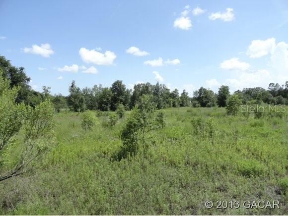 5 ac NW 62nd Ave., Newberry, FL 32669