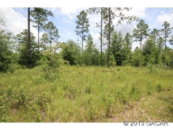 8405 NW 182 Way, Alachua, FL 32615