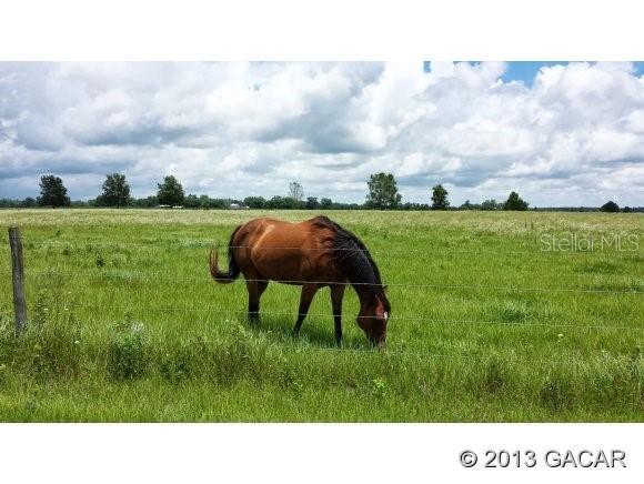 SW Boyette Ter., Lake City, FL 32024