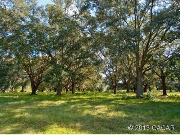 TBD SW 5th Pl., Newberry, FL 32669