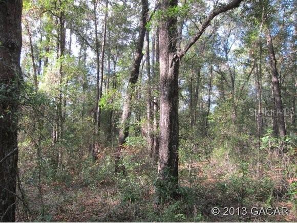 20 ACS SW 61st Ave., Gainesville, FL 32608