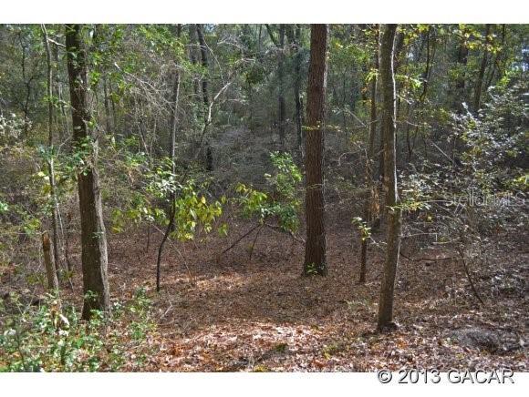 00 NW 218 Ave., High Springs, FL 32643