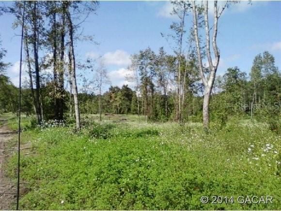 3415 NW 238 St., Newberry, FL 32669