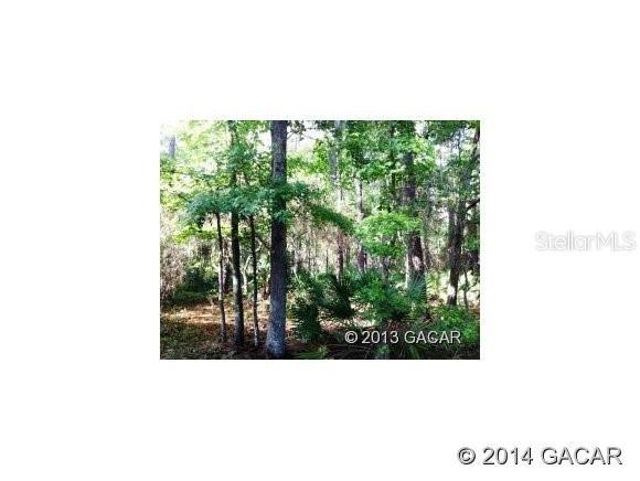 SW 8th Ave., Gainesville, FL 32607