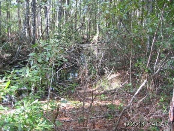 000 NE 81 St., Gainesville, FL 32609