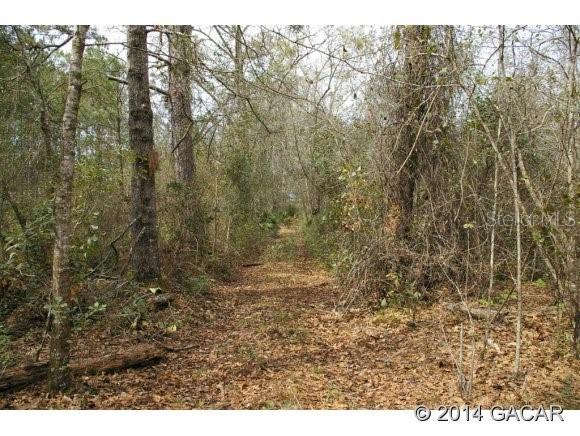 00 NE County Rd 225, Gainesville, FL 32609