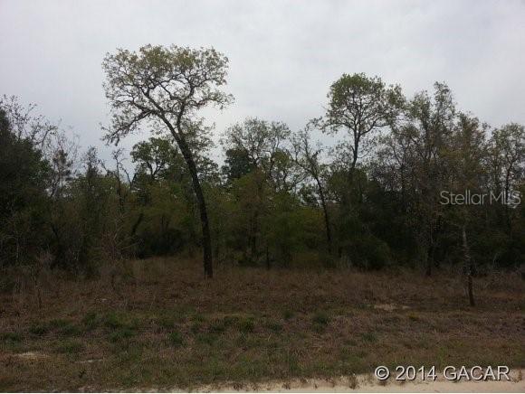 NE 10th St., Williston, FL 32696
