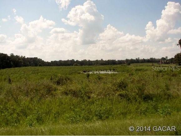 329 NW Highway, Micanopy, FL 32667