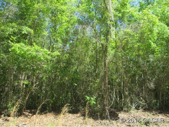 Lot 3 Giles Martin Rd., Lake City, FL 32035