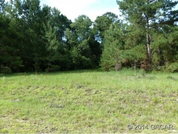 110 Paran Dr., Melrose, FL 32666