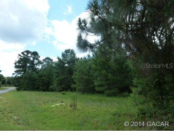 106 Paran Dr., Grandin, FL 32666