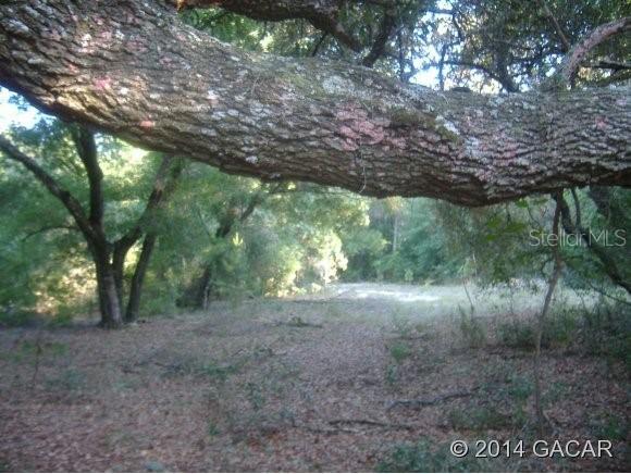 Lot 33 Corner Of Deep Lake Trail/ Rd., Melrose, FL 32666