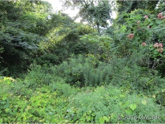 SW 69 Pl., Gainesville, FL 32608