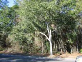 1703 NE 2nd Street, Gainesville, FL 99999