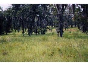 NE 52nd Pl, Other, FL 32643