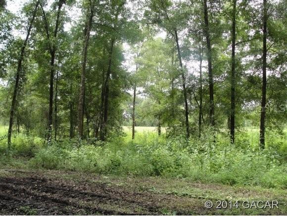 TBD NW County Rd 2054, Alachua, FL 32615