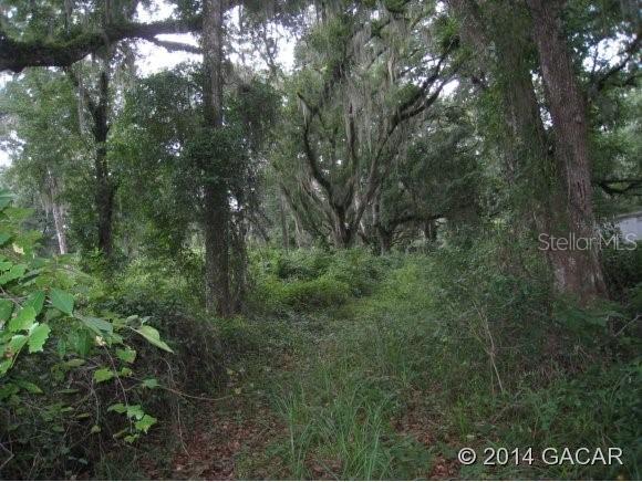 13225 E County Rd 1474, Gainesville, FL 32641