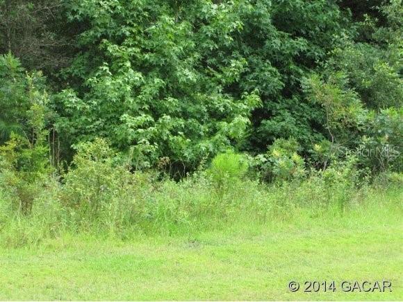 BLK B County Rd Lot 30, Williston, FL 32696