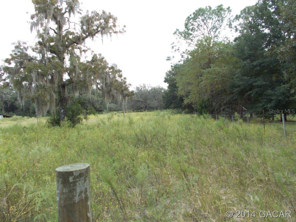0000 NE 2nd Pl., Williston, FL 32696