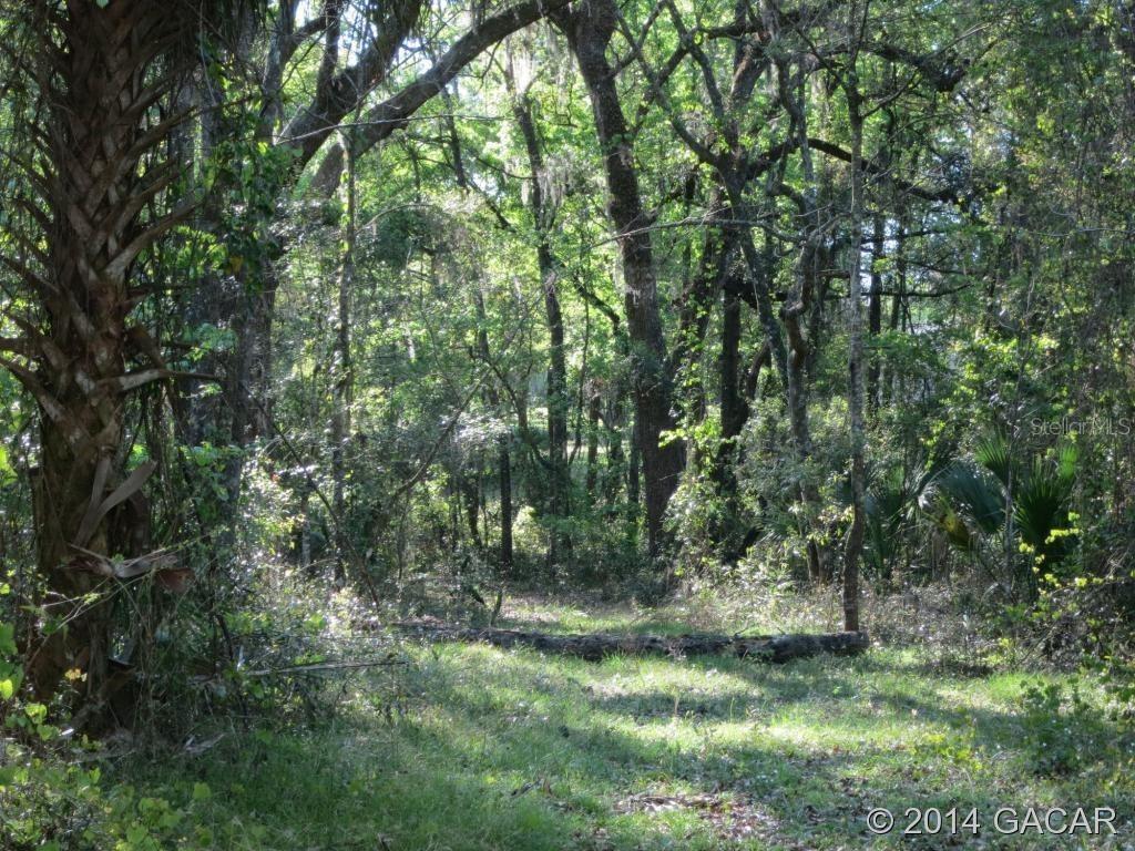 Savel Rd., Grandin, FL 32138