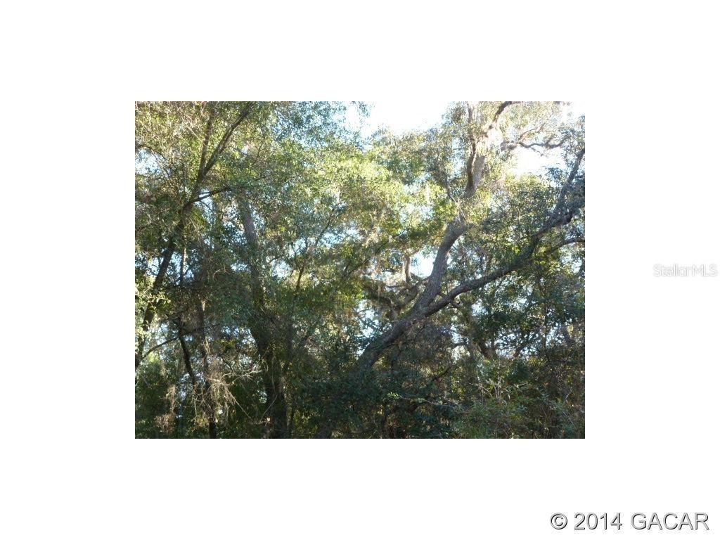128 Mandarin Lake Rd., Melrose, FL 32666