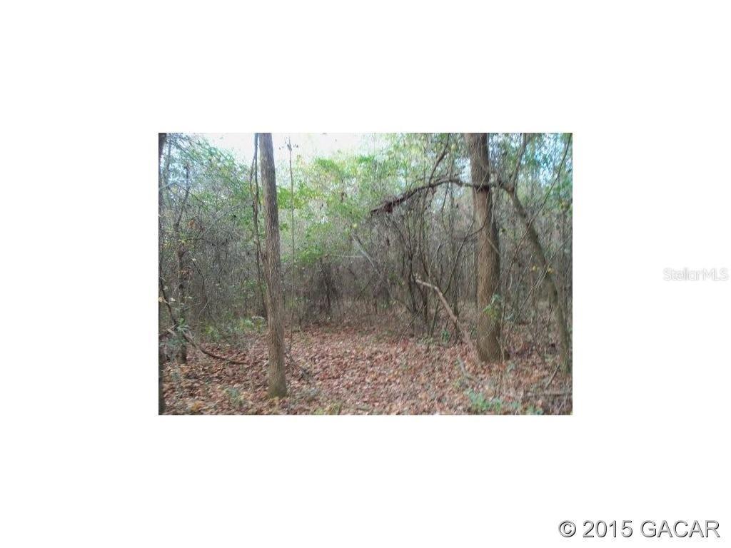 NW 31 Ave., Gainesville, FL 32606