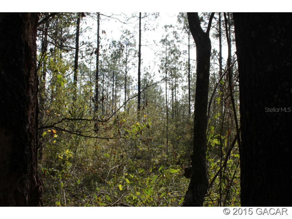 80 Ac NW Us Highway 27/41, Alachua, FL 32615
