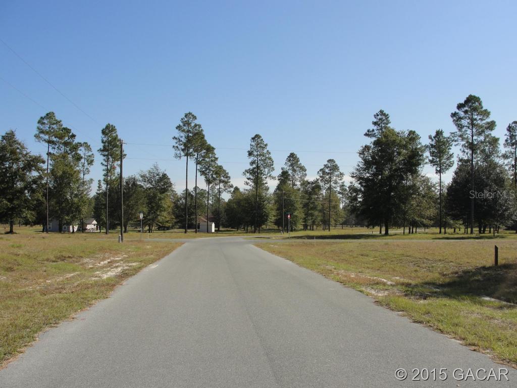 TBD Turkey Ridge Rd., Lake Butler, FL 32054