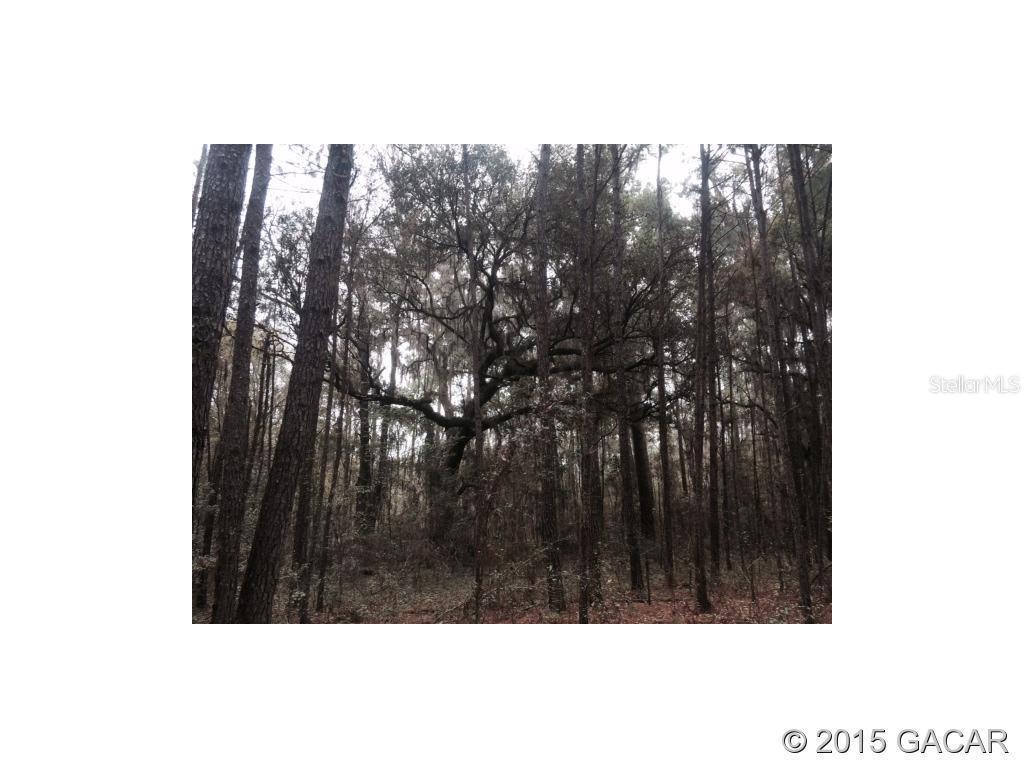 00 NW 110th Dr., Gainesville, FL 32607