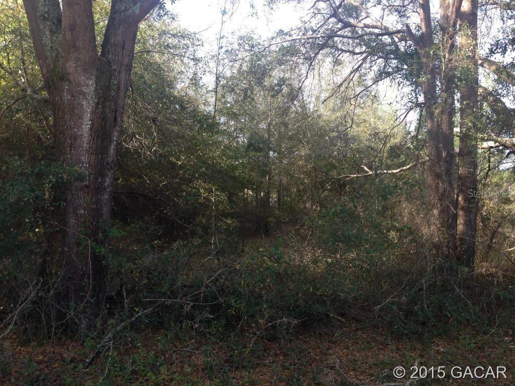 00 NW Cr 1491, Alachua, FL 32615