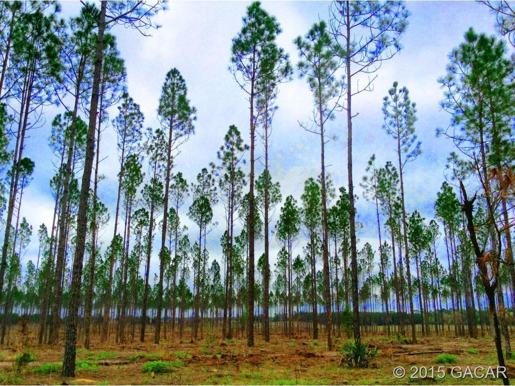 1 NE 130 Ave., Archer, FL 32618