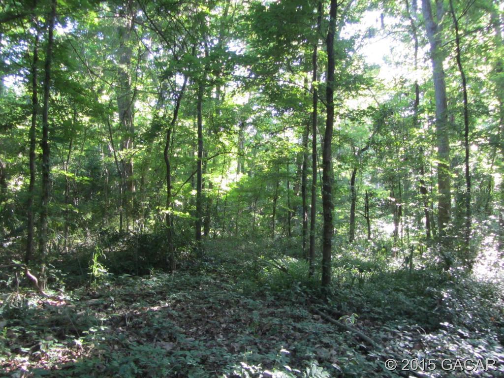 NW 31st Way, Gainesville, FL 32605