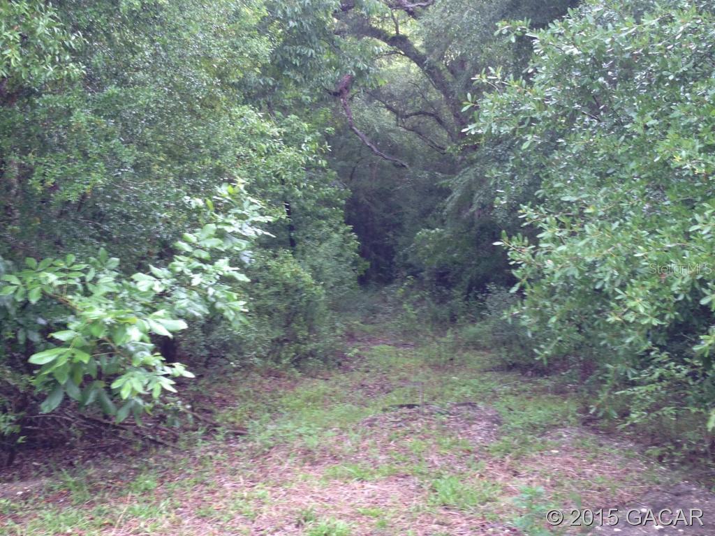 00 SW 25th St., Bell, FL 32619