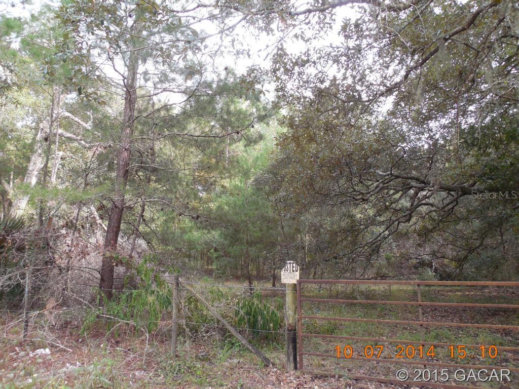 TBD NE County Road 219a, Melrose, FL 32666