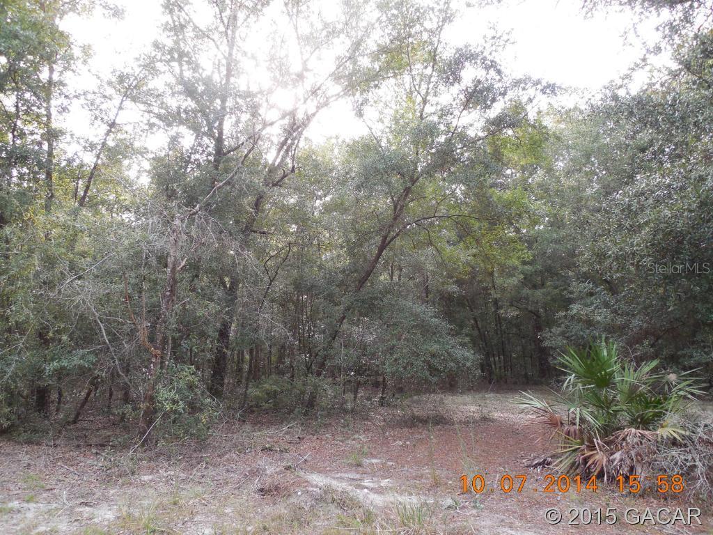 TBD NE County Road 219a, Melrose, FL 32666