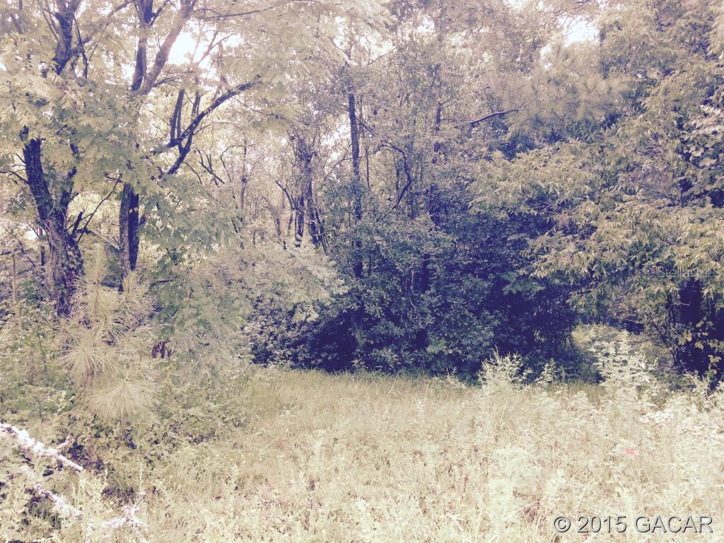 1540 SW 122 St., Gainesville, FL 32608