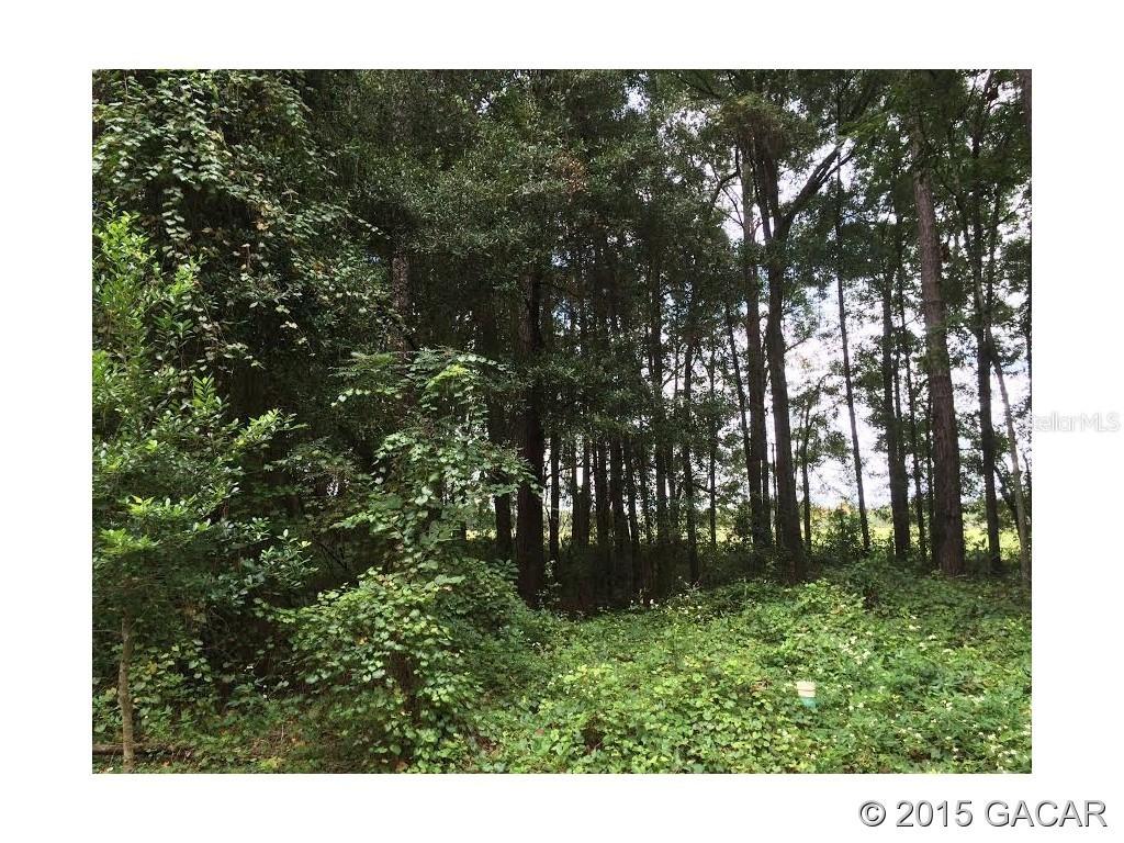 2174 SW 35th Ct., Gainesville, FL 32608