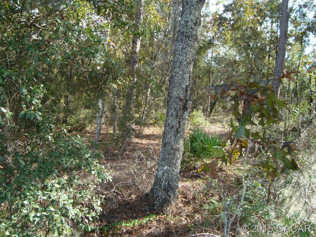 00 NE Highway Alt 27, Williston, FL 32693