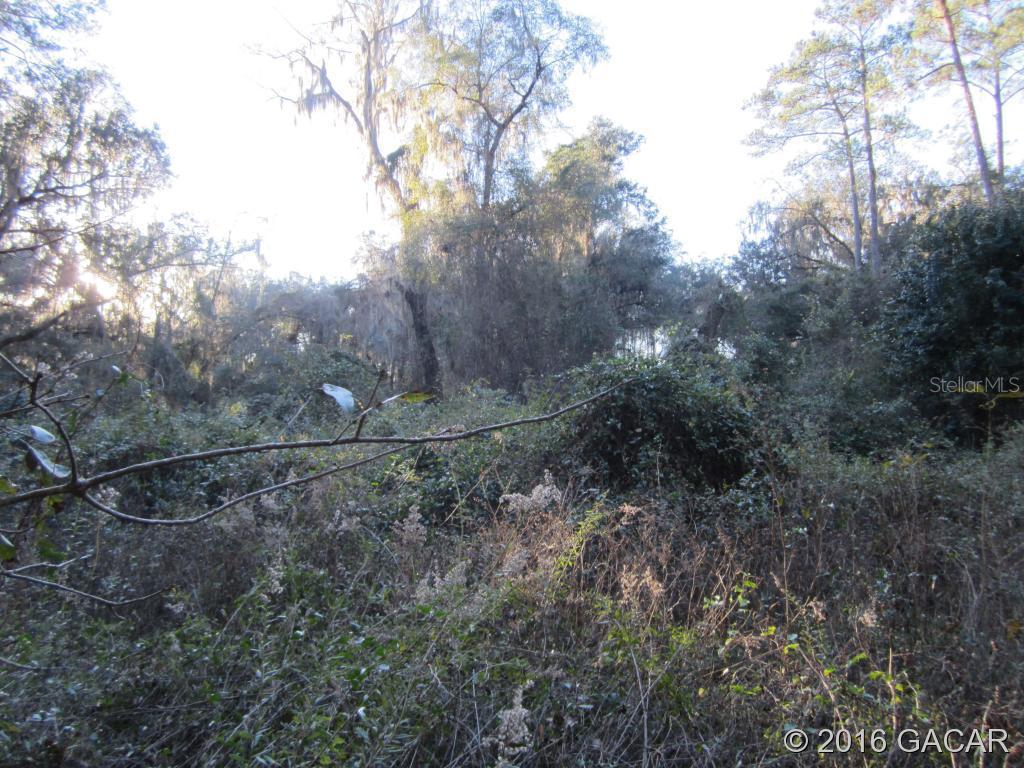 NW 132nd St., Gainesville, FL 32653