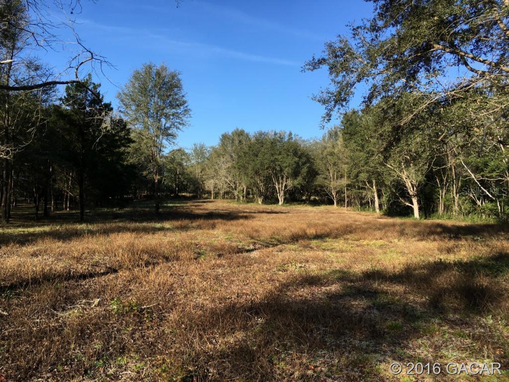 1911 SW 120th Ter., Gainesville, FL 32607