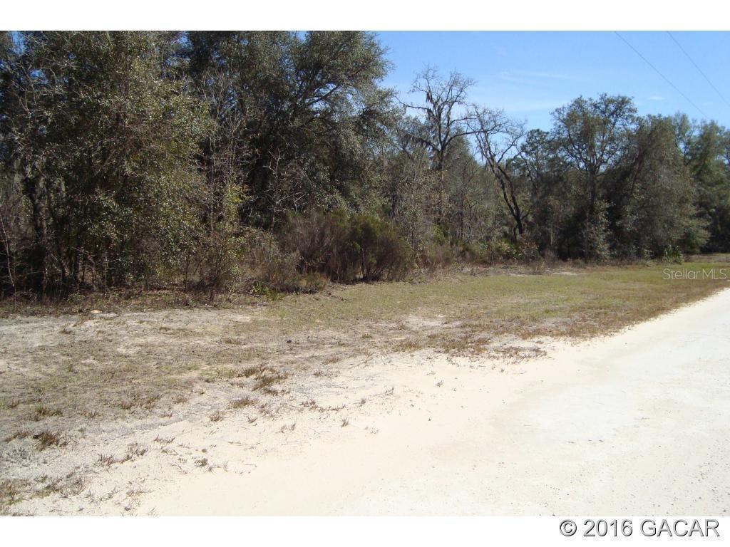 00 NE 136 Ct., Williston, FL 32618