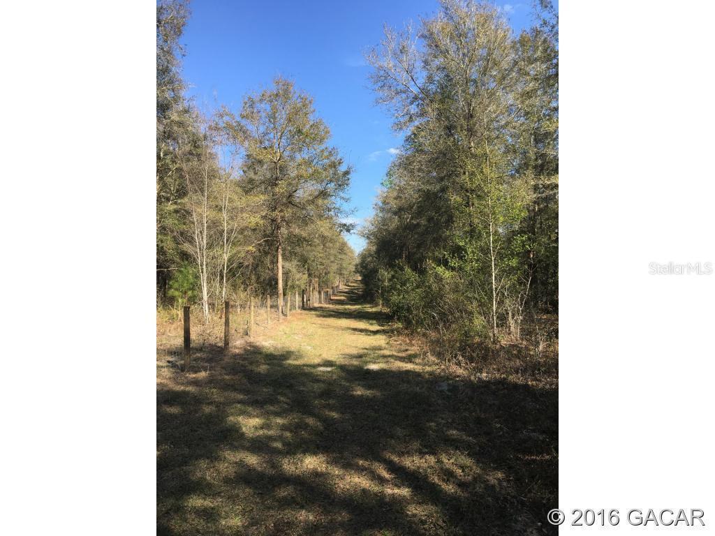 lot 23 NE 155th Ave., Williston, FL 32696