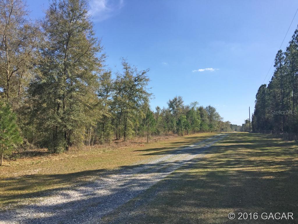 lot 24 NE 155th Ave., Williston, FL 32696