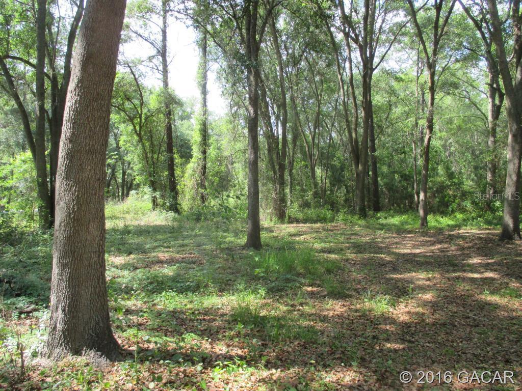 315 SW Beth Dr., Lake City, FL 32024