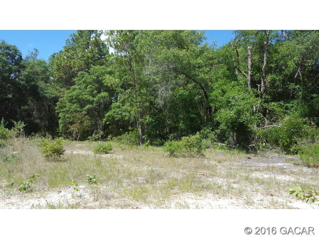 104 Azalea Tr., Melrose, FL 32666