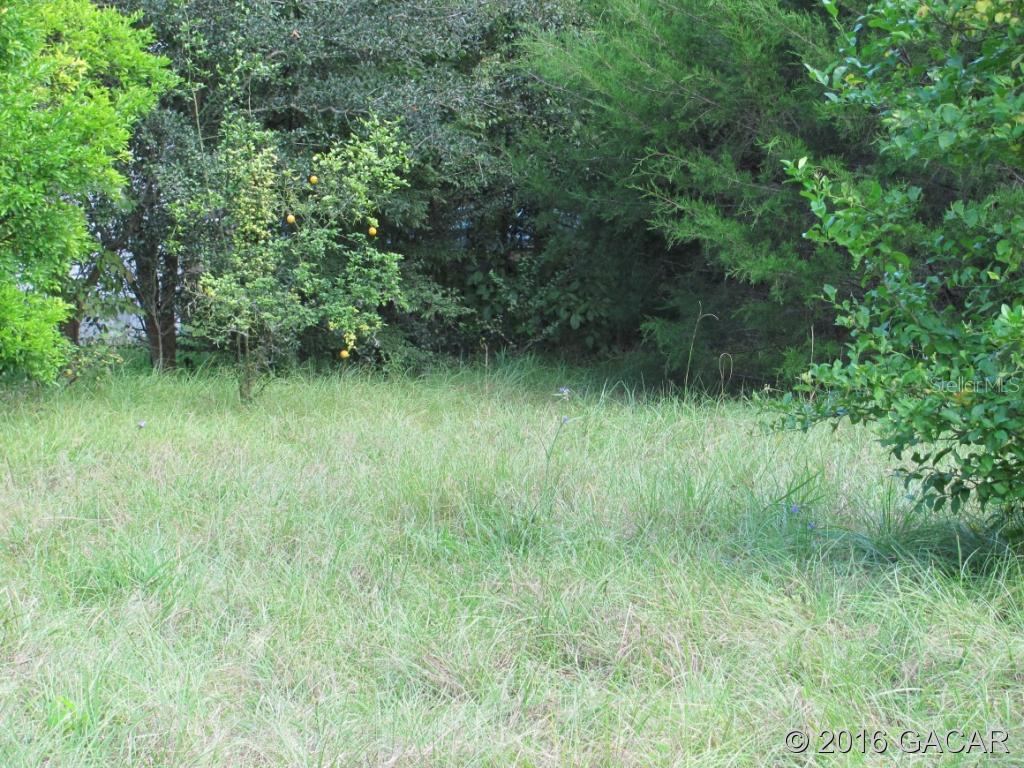 00 NW 53rd Ter., Orange Lake, FL 32667