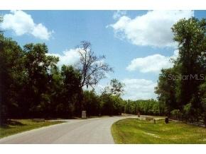 18221 SW 42nd Lane, Other, FL 32669